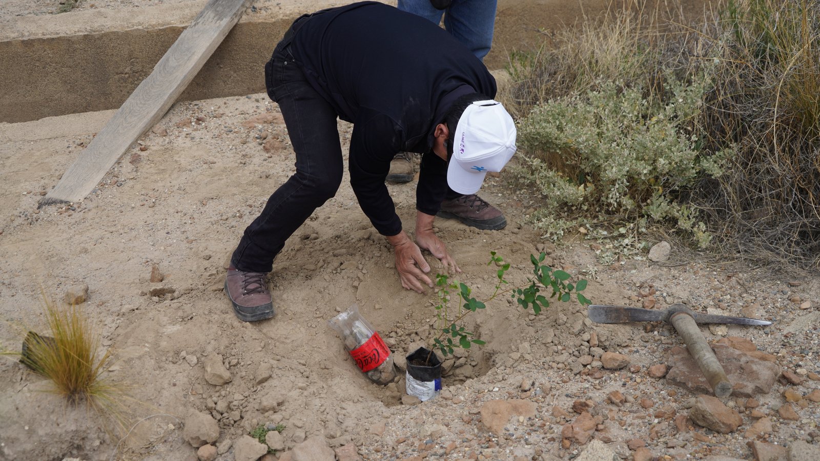 Imagenes de ciudad humana